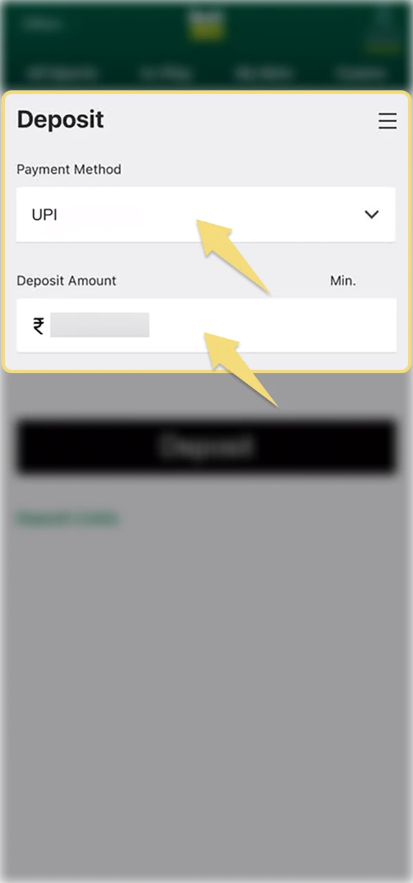 Choose UPI deposit as your preferred Bet365 payment method and enter the amount in INR.